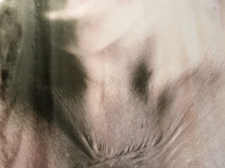 Cicatrici. Dettaglio di una fotografia di Olivia Arthur in esposizione temporanea. Ritrae il décolleté di una donna, caratterizzato da evidenti cicatrici. Le forme e le pieghe del corpo creano una complessa rete di cicatrici in rilievo sul petto. I toni sono desaturati e caldi, con un forte contrasto tra luci e ombre che enfatizza la texture della pelle.