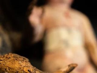 Primo piano di una mano scolpita in legno della Madonna di uno sculture di ambito veronese, con superficie consumata e parti di colore staccato. Sullo sfondo, sfocata, si intravede la figura di Gesù Bambino in braccio alla Vergine, dipinta con toni chiari.