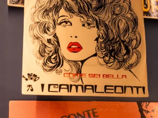 Disco-Grafica: le copertine dei dischi disegnate dai maestri del fumetto che presenta vinili illustrati da Andrea Pazienza, Tanino Liberatore, Milo Manara, Hugo Pratt, Guido Crepax e altri, con copertine per artisti come P.F.M., Paolo Conte, Sergio Endrigo, Roberto Vecchioni, Ivan Graziani, ecc.