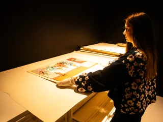 Il caveau si trova al piano interratodi Galleria Pizzinato. E' compostao da due stanze dedicate alla conservazione. Due stanze, una di consultazione e la seconda di conservazione. Entrambe con temperatura (16 gradi costanti) e umidità relativa controllate. Si tratta di sale in cui vengono conservate tavole, oggetti e riviste storiche dedicate al fumetto. L'immagine ritrae la curatrice al lavoro nel caveau.