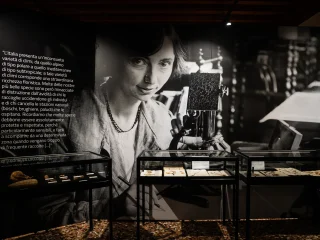 Ritratto in bianco e nero della scienziata Silvia Zenari al lavoro. La donna è seduta ad un tavolo, guarda verso l'obiettivo e tiene una matita in mano sopra un foglio. Accanto a lei è posizionato un microscopio d'epoca in metallo scuro. Indossa una camicia dal taglio semplice e una collana di perle scure. Davanti alla parete sono disposte tre vetrine illuminate che contengono esemplari e piccoli reperti organizzati su piani chiari. Sulla sinistra della fotografia è presente un testo stampato in verticale.