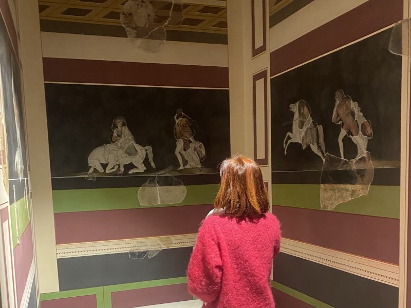 Una persona con i capelli rossi e un maglione rosa guarda dei pannelli ricostruttivi nei quali sono stati ricostruiti antichi affreschi romani raffiguranti scene di duelli tra figure femminili a cavallo e uomini a piedi, su un fondo scuro, interpretata come un'Amazzonomachia. Attorno alle figure si sviluppano bande di varie colori, verde, bordeaux, bianche e nere.