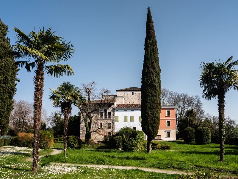 Vista del Castello di Torre ripreso dal parco. Il castello compare dietro una serie di alberi tra cui un alto cipresso e tre palme.