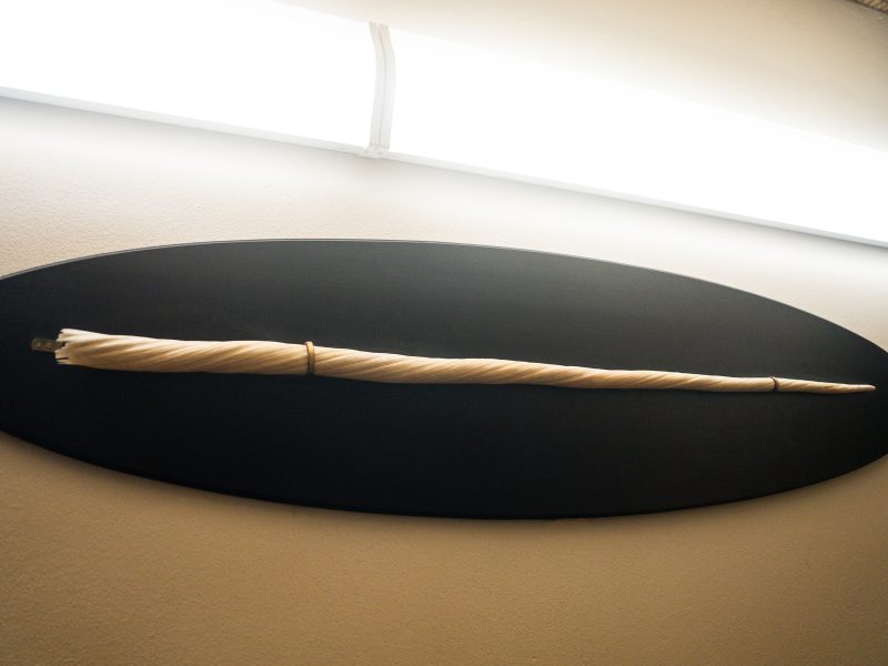 Questa immagine mostra un reperto naturalistico di grande valore simbolico : un dente di narvalo, storicamente scambiato per il corno del leggendario unicorno. Un lungo canino di narvalo di colore bianco avorio, caratterizzato dalla tipica superficie a spirale che percorre tutta la sua lunghezza. Il dente è posizionato orizzontalmente ed è fissato con due sottili anelli metallici a un elegante pannello ovale nero opaco, che crea un forte contrasto cromatico e fa risaltare la forma affusolata del reperto. L'inquadratura è leggermente angolata dal basso. Questo oggetto rappresenta uno dei pezzi più iconici delle collezioni naturalistiche classiche, poichè unisce il fascino del mito alla realtà biologica marina.
