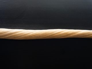 Un'inquadratura ravvicinata di una porzione del dente di narvalo posizionato orizzontalmente sul supporto scuro. La porzione ha una colorazione crema-avorio con una texture spiraleggiante. Il reperto è illuminato dall'alto.
