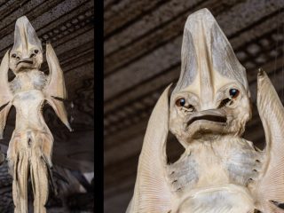 Questa composizione affianca due scatti della stessa bizzarra creatura tassidermizzata, esposta nella sala Theatrum Naturae di Pordenone. A sinistra: La figura intera di una Jenny Haniver, una creatura leggendaria realizzata manipolando e seccando il corpo di una razza o pesce chitarra per fargli assumere sembianze demoniache o aliene. Si presenta come un corpo allungato con la pelle secca e ambrata, dotato di due appendici simili ad ali piegate verso l'alto e una lunga coda sottile che pende verso il basso. A destra: Un primo piano dettagliato del volto della creatura, che mette in risalto l'espressione quasi umana ma mostruosa, con la bocca aperta che rivela piccole fila di denti e una protuberanza appuntita sulla testa. L'oggetto è sospeso al soffitto tramite una catenella invisibile, inquadrato dal basso contro lo sfondo delle caratteristiche decorazioni naturalistiche a tratto nero della sala museale, evocando l'atmosfera delle antiche Wunderkammer.