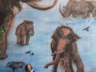 Questa immagine ritrae una donna seduta su una panchina davanti a un grande murale a tema preistorico. Ecco i dettagli principali della composizione: Il Murale: La parete è decorata con un'illustrazione colorata che rappresenta diversi animali dell'era glaciale. Spiccano vari mammut di diverse dimensioni, un rinoceronte lanoso, un lupo e degli uccelli in volo. Lo stile del disegno è dinamico e pittorico, con tonalità che spaziano dall'azzurro dello sfondo all'ocra e marrone degli animali. La Persona: Una donna con i capelli castani è seduta al centro di una panchina di legno e metallo. Indossa un maglione fucsia vivace, una sciarpa grigia chiara, jeans blu e stivali marroni. Guarda verso l'alto con un'espressione sorridente, come se stesse ammirando l'opera d'arte sopra di lei. L'Ambiente: La scena si svolge in uno spazio esterno pavimentato con grandi mattonelle grigie. Sulla sinistra si intravede il ramo sfocato di una pianta, che aggiunge un tocco di profondità all'inquadratura. L'immagine comunica un senso di curiosità e piacevole sosta durante la visita a un museo o a un parco tematico.