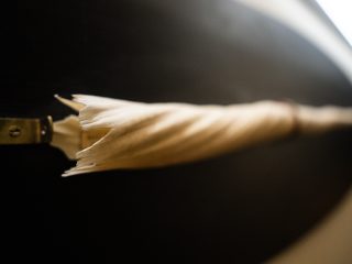 Un'inquadratura ravvicinata a fuoco selettivo della base del dente di narvalo. La base del canino è la parte più nitida e presenta un margine frastagliato, quasi "scheggiato", dove si innesta nel supporto metallico dorato fissato con piccole viti. La superficie dell'avorio è di un colore crema caldo e rivela chiaramente la struttura a spirale che caratterizza l'intero reperto. Il dente attraversa l'inquadratura diagonalmente, scomparendo in uno sfocato progressivo verso destra. La profondità di campo ridotta concentra l'attenzione sul punto di giunzione e sulla matericità del reperto. Lo sfondo è dominato dal supporto ovale nero, che appare scuro e vellutato. In alto a destra, la luce intensa della lampada crea un forte riflesso bianco che sfuma i contorni e aggiunge luminosità alla scena. L'immagine evidenzia la natura organica e antica dell'oggetto, sottolineando i dettagli della sua conservazione e del montaggio espositivo.