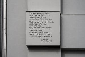 "Dettaglio di un pannello architettonico rettangolare di colore grigio, sporgente da una parete moderna e dal design minimalista. Sul pannello &egrave; stampata in nero una poesia in dialetto, con l'attribuzione 'Biagio Marin, Fiuri de tapo, 1912' in calce. A sinistra del pannello, corrono verticalmente due tubi metallici lungo la superficie della parete."