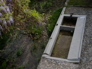 "Una veduta zenitale che riprende una vasca lavatoio in cemento a due scomparti, situata all'aperto lungo un corso d'acqua. Un tubo metallico versa acqua fresca nella sezione superiore della vasca. Il lavatoio è adiacente a un sentiero pavimentato con ciottoli rotondi. Sulla sinistra, una pianta di glicine in fiore pende verso il canale, creando un piacevole contrasto tra gli elementi architettonici funzionali e la natura circostante."