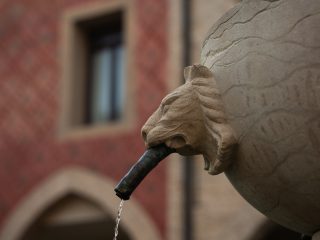 "Primo piano di una scultura in pietra raffigurante una testa di leone, che funge da fontana. Dalla bocca del leone sporge un tubo metallico da cui scorre un sottile filo d'acqua. Sullo sfondo, leggermente sfocato, si intravede l'architettura di un edificio storico con mattoni a vista."