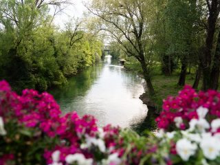 "Una veduta suggestiva di un fiume che scorre placido tra sponde alberate e rigogliose di vegetazione. In primo piano, una messa a fuoco selettiva evidenzia dei fiori color magenta e bianchi, posti probabilmente su un parapetto o un ponte. Il corso d'acqua, che riflette la luce del giorno, si snoda verso il centro dello scatto, conducendo lo sguardo verso un ponte in lontananza, in un contesto naturale sereno e luminoso."