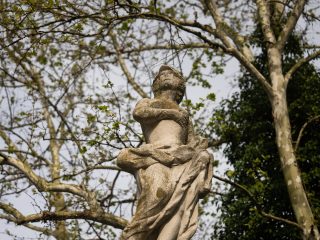 "Una statua scultorea in pietra di una figura femminile, ritratta a mezzo busto con lo sguardo rivolto verso l'alto in un'espressione di elevazione spirituale o contemplazione. La figura indossa drappeggi lavorati con cura che avvolgono il busto e la vita. La scultura è inserita in un contesto naturale, con i rami intricati di un grande albero che si stagliano contro il cielo sullo sfondo, creando un contrasto tra l'opera d'arte classica e la texture organica della natura."