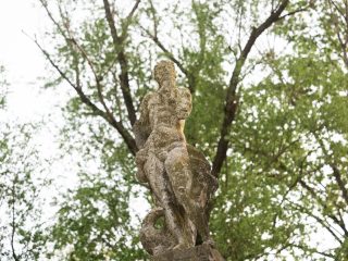 "Una veduta ravvicinata, dal basso verso l'alto, di un'antica statua in pietra erosa dal tempo e dalle intemperie. La scultura raffigura una figura maschile nuda e muscolosa, colta in una posa dinamica e contrapposta, con il busto ruotato. L'erosione è profonda e ha rimosso quasi completamente i dettagli del volto, che appare indistinto, e ha danneggiato gli arti inferiori e la base. La patina della pietra varia dal grigio chiaro al verdastro. La statua si staglia contro un cielo chiaro e sovraesposto, inquadrata dai rami e dalle foglie verdi e rigogliose degli alberi di un parco, che creano un contrasto naturale con la rovina della pietra."