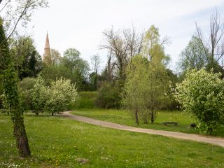 "Un paesaggio naturale caratterizzato da un prato verde costellato di fiori di campo, attraversato da un sentiero ghiaioso che si snoda dolcemente tra alberi e arbusti in fiore. In lontananza, al di sopra della linea degli alberi, si staglia il profilo di un campanile alto e appuntito contro il cielo. L'atmosfera è serena e tipica di un parco pubblico o di un'area verde urbana in primavera."