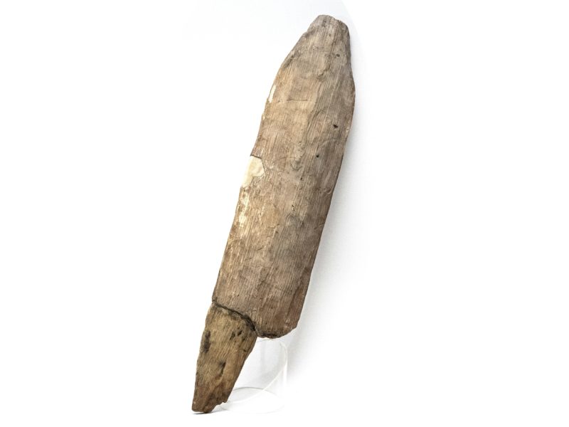 Immagine a figura intera di un'antica pagaia in legno monossile, esposta verticalmente su uno sfondo bianco. Il reperto ha una forma allungata e affusolata, con una superficie materica e irregolare di colore bruno. La parte inferiore, lacunosa, termina con una punta più stretta, di cui si conserva un frammento. Il manufatto è sostenuto alla base da un supporto cilindrico trasparente.