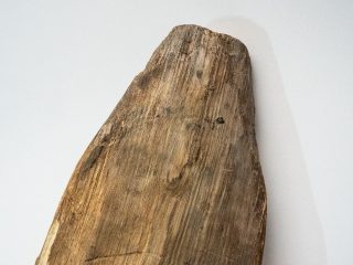 Primo piano dell'estremità superiore di un'antica pagaia in legno monossile su fondo bianco neutro. La forma è arrotondata e asimmetrica, con la superficie caratterizzata da profonde venature verticali e una colorazione bruno-dorata. La luce soffusa proveniente da destra proietta un'ombra delicata sul piano d'appoggio, evidenziando la porosità e la natura organica del materiale antico.