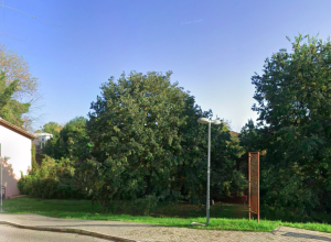 "Veduta esterna di un'area verde con un vialetto pavimentato in primo piano. Al centro si estende un prato con alberi folti, affiancato da un lampione moderno e da una sottile struttura metallica verticale di colore ruggine. Sulla sinistra si intravede l'angolo di un edificio, il tutto sotto un cielo azzurro limpido."