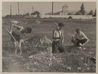 Foto d'epoca risalente agli anni Cinquanta che raffigura il conte Giuseppe di Ragogna accucciato mentre osserva alcuni frammenti di laterizi emersi da due buche scavate da due giovani collaboratori. Sullo sfondo si osserva un grande edificio cinto da un muro, con una torretta dotata di orologio e un'alta ciminiera. Il complesso corrisponde al cotonificio di Torre.