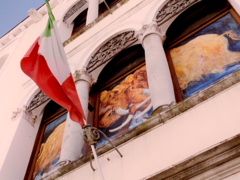 Palazzo Amalteo, sede del Museo di Storia Naturale "Silvia Zenari"